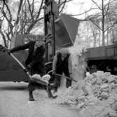Snösvängen kostar 5000 kr om dagen.
20 januari 1955