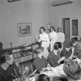 Lucior.
december 1955.