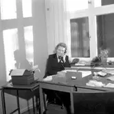 Lucior.
december 1955.