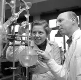 Bildsidan. Teknis.
26 november 1955.