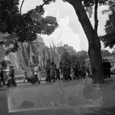 NGU-tåg genom Örebro.
4 juli 1955.