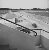 Förhandsreportage från travbanan.
9 juli 1955.