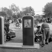 Barn lär sig trafikrätt.23 september 1955.