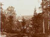 Nora, utsikt från väster, runt 1910.
