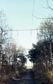 Kraftledning över halvt igenvuxen väg.