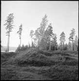 Militära anläggningar. Trekanten 1809 års skansar. Gustaf IV Adolfs redutt.