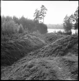 Dals-Ed. Militära anläggningar. Karl XII:s skansar.