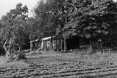 Motiv från Grannäs, Åtorp, envånings bostadshus.
Bilden tagen för vykort.
Förlag: Lundells Kiosk.