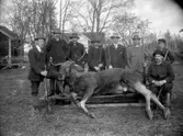 Hjärta jaktlag med en älgtjur på en kälke framför Hjärta mangårdsbyggnad.
Från vänster: Manfred Gustavsson, Hjärta; Elvin Gustavsson, Lilla Hjärta; Adolf Svensson, Lilla Hjärta; Adolf Björk, Hjärtafallet; Anton Bergström, Översta, Hallsberg; Albert Persson, Hjärta; Bertil Gustavsson, Örsta, Kumla. Sittande längst till höger fotografen Gustaf Ferdinand Hallberg, Svennevad.