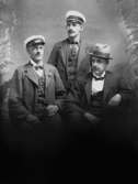 Tre män.
Mannen till höger: Arthur Hallberg, född 1885-08-07 i Ohio, USA.