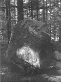 Stor sten i skogen.