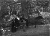 Sex personer, två av dem i en vagn med häst.