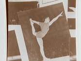 Ryska gymnaster, Idrottshuset 1950.