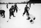 Bandy
Situationer: ÖSK-Hammarby
Plats:Eyravallen, Örebro.