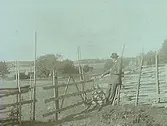 Man vid gärdesgården