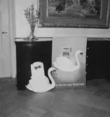 Affisch, Persil-tvättmedel.
Bilden tagen för Svea-annons.