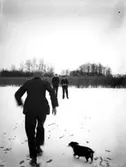 Vintermotiv, tre män och en hund.