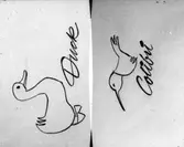 Teckning, reklam för Oscaria Skofabrik.
Duck.
Colibri.