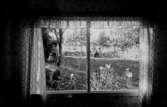Familjegrupp, tre personer vid bordet i trädgården. Bilden tagen genom fönstret till sommarstugan.
Falk