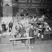 Handboll, prisutdelning.
Ingmars pojkhandboll.