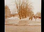 Centralparken.
Örebro slott i bakgrunden.
Ark. G. Lené.