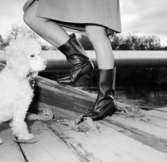 En kvinna med Oscaria-stövlar och hund.
Oscaria Skofabrik.
Bilden tagen för fönsterskylt.