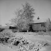 Bostadshus.
Familjen Löfqvists-Lindskogs hus i vinterskrud.