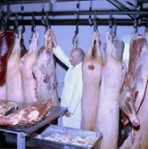 Robertsons Charkuteri, interiör av kylrummet, en man.