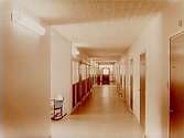 Barnsjukhuset, avd. 19, korridor.