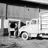 Stubbetorps Kontrollhönseri, lastbil och två personer.
Byggnad.