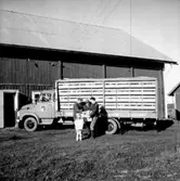 Stubbetorps Kontrollhönseri, lastbil och fyra personer.
Byggnad.