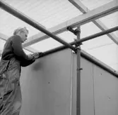 Montering av utställningshallen, en man.
