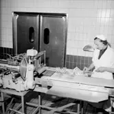 Konsum, charkuteriavdelningen, interiör, en kvinna.