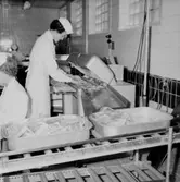 Konsum, charkuteriavdelningen, interiör, en kvinna.