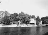 Vy över Centralparken.
Bilden tagen för arkitekt Ohlsson.