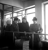 Konsum, affärsinteriör, kunder och personal.