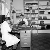 Verkstadsinteriör, två män.
Original Adhner, skrivmaskiner.