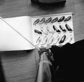 Skoaffisch.
Pehrson & Comp. skofabrik.