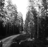 Skogsområde.
Askers Häradsallmänning.