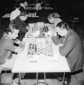 Schack VM i augusti 1966.
