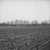 Vy över gamla flygfältet vid Gräveby.