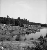 Riksmästerskapet i orientering.
Konsum.