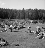 Riksmästerskapet i orientering.
Konsum.