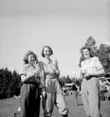 Riksmästerskapet i orientering.
Konsum.