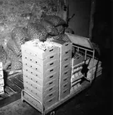 Färms saluhall, affärsinteriör.
Sedells (beställare).