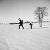 Skidåkning på Kvismaren, en man och en pojke.
Hasse och Ulf Sörling.