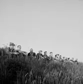 Grupp i gröngräset.