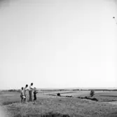 Lek, familjegrupp fyra personer.