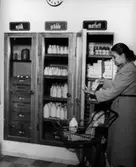 Konsum, affärsinteriör, mejerivaror, en kvinna.