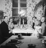 Rumsinteriör, bröllop, brudpar och bröllopsgäster vid bordet.
Brudparet Fritz-Djerf.